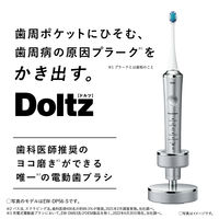 パナソニック 音波振動ハブラシ ドルツ EW-DP56-P 1台