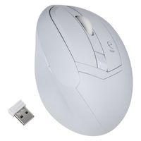 ナカバヤシ 無線静音5ボタンエルゴノミクスマウスホワイト MUS-RKF179W 1個（直送品）