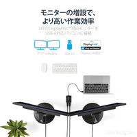 USB-A - DisplayPort 変換アダプタ 2画面 USB32DP24K60 1個 Startech.com