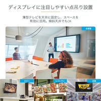 薄型液晶テレビ天吊り金具 天井からの距離:560-910mm FPCEILPTBSP 1個 Startech.com