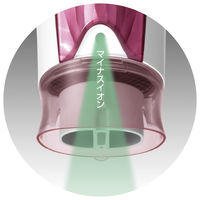 パナソニック(Panasonic)  ヘアードライヤー イオ二ティ EH-NE4E-P ピンク調 速乾ノズル搭載 交流式