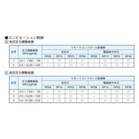 ダイキン工業 ロータポンプ RP38C13JP-55-30 1台（直送品）