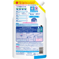 ライオン トップスーパーNANOX詰替特大900g 111420 6個（直送品）