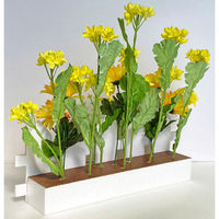 アルファ 菜の花垣根アレンジ TE1-1362 1ヶ（直送品）