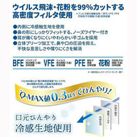 ビトウコーポレーション FLT-33292 冷感触マスク30P エメラルドG　1箱(30枚)（直送品）
