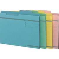 ライオン事務器 ダブルフォルダー A4判 No.61 ピンク 13235 1セット(10冊)