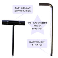 アイガー マスターツール コンビ六角レンチセット MT-15pc　1組 アイガーツール（直送品）