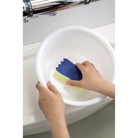 アイセン フッ素ガード バス小物洗い 856975 1個