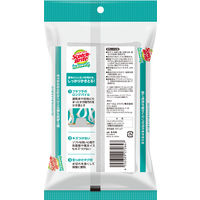 スリーエム(3M) スコッチブライト バスシャイン ロングパイルネットスポンジ お風呂掃除 グレー B-53K  (1個入)