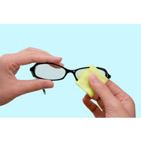 ソフト99コーポレーション くり返し使える メガネのくもり止めクロス 289291 2個