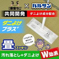 レック 激落ちくん シート畳用ダニよけプラス S00800 1個