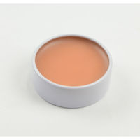 アイーダ 舞台屋 プラスアート 30g 4580255650763 1セット（2個入）（直送品）