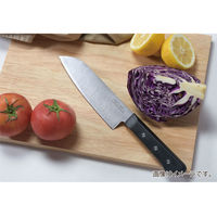 パール金属 包丁 ペティナイフ ステンレス 果物 125mm 食洗機対応 FN-134 シェフズスティーレ エボ（直送品）