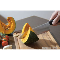 パール金属 包丁 ペティナイフ ステンレス ソフトグリップ 果物 125mm 食洗機対応 FN-146 シェフズスティーレ デイズ（直送品）