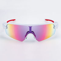 SWANS（スワンズ） サングラス ストリックス STRIX D.A. マットホワイト STRIXDA351 1個（直送品）