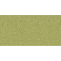 サンコー ペット用床保護マット 60×120cm グリーン KM-52 1個（直送品）