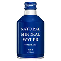 ジャスティス ナチュラルミネラルウォータースパークリングボトル 290ml 1箱（24本入）