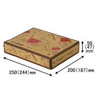Yahoo!オークション&Yahoo!フリマデザイン 宅急便コンパクト用ダンボール 1セット（100枚：5枚×20） 縦200×横250×高さ50mm