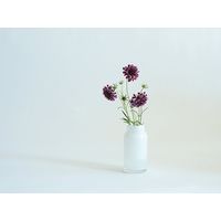 ホワイエ DGボトルベースφ7.5(5.5)xH15.5(2) ホワイト 2C00038WH 1個（直送品）