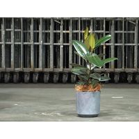 ホワイエ FR円柱ラスティックグレーS φ21xH21 3a00003 1個（直送品）