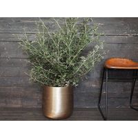 ホワイエ AM8ベースGL φ30xH31 3u00051GL 1個（直送品）