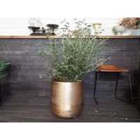 ホワイエ AM10ベースGL φ36xH37 3u00052GL 1個（直送品）