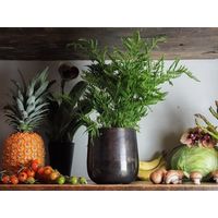 ホワイエ AM4ベースBK H16 3u00054BK 1個（直送品）