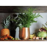 ホワイエ AM4ベースGL H16 3u00054GL 1個（直送品）