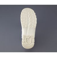 アズワン アズピュアクリーン安全ブーツ(ファスナー付き・ロングタイプ) 27.0cm 洗浄済 TCBSLN27 センジョウズミ 1足（直送品）