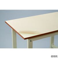 フロンケミカル 実験台用耐熱・耐薬品シート 2400×600mm 4-4385-11 1枚（直送品）