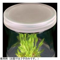 アズワン 植物培養容器 ベントなしフタ 100個入 C566-100EA 1箱(100個) 4-4848-03（直送品）