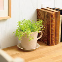 ヘッズ ハンドメイドプリントフラワーポット-12(2個) HNP-FPO12 1セット(4パック×2個)（直送品）