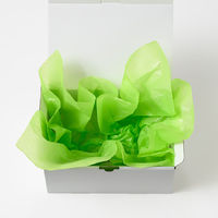 ヘッズ ラッピングカラーペーパー-ライトグリーン(200枚) WP-LG 1セット(10パック×200枚)（直送品）