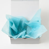 ヘッズ ラッピングカラーペーパー-ライトブルー(200枚) WP-LB 1セット(10パック×200枚)（直送品）