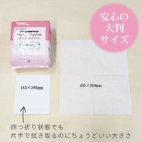 【からだふき】不織布ドライタオル【からだ拭き/衛生/清拭/1パック/少量】