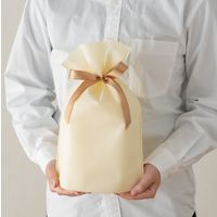 ヘッズ 2重不織布リボン付バッグ-S/クリーム DFC-RBS 1組(20枚)