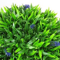 ホワイエ GMボール38cm ラベンダーグラス 6100023 1個（直送品）