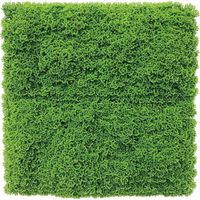 ホワイエ GMシートモスMAX 50x50cm 6100024 1個（直送品）