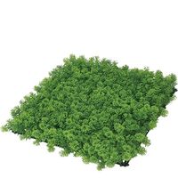 ホワイエ GMモフモフグリーンハーブ 50x50cm 6100027 1個（直送品）