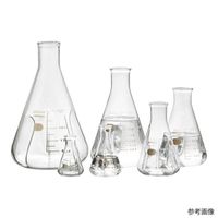 HARIO バッフル付き三角フラスコ 200mL BSF-200-SCI 1個 4-4574-03（直送品）