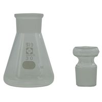 柴田科学 共栓三角フラスコ 30mL 6-016-13 1個（直送品）