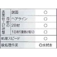 マイト工業 ハケ専用電解液 SUS-HC 4L 1個（直送品）
