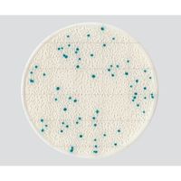 キッコーマンバイオケミファ EasyPlate 大腸菌群数測定用(25枚/袋×4袋入)CC 61974 1箱(100枚) 4-5420-02（直送品）