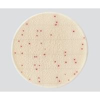 キッコーマンバイオケミファ EasyPlate 一般生菌数測定用(25枚/袋×4袋入)AC 61973 1箱(100枚) 4-5420-01（直送品）