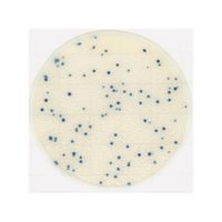 キッコーマンバイオケミファ EasyPlate 黄色ブドウ球菌数測定用(25枚/袋×4袋入)SA 61976 1箱(100枚)（直送品）