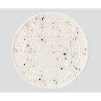 EasyPlate 大腸菌・大腸菌群数測定用(25枚/袋×4袋/箱×5箱入)EC 61975 1ケース(500枚)（直送品）