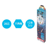クツワ STAD えんぴつ 海洋えんぴつ 2B PA026 1セット(5個)（直送品）
