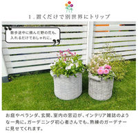 住まいスタイル オールドバスケット バスケット調プランター 円型 大サイズ ホワイト（アンティーク加工） BSPL-330WHT 1個（直送品）