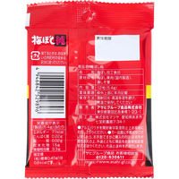 アサヒグループ食品 梅ぼし純 (ポケット) 12粒 4946842529896 1袋(12粒入)×30セット（直送品）