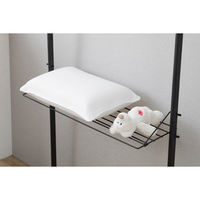 アイリスオーヤマ つっぱり物干し 2本タイプ ブラック TPM-2 1台